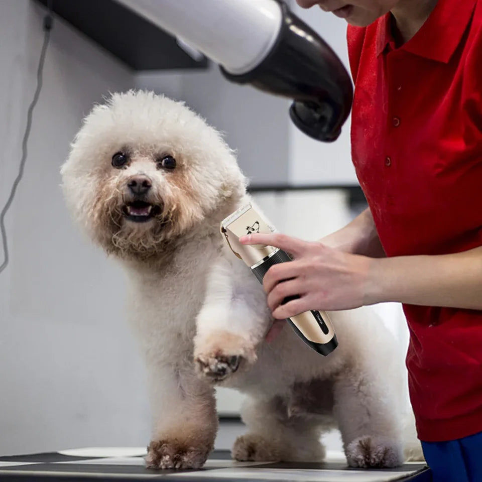 🐶 ¿Tu mascota deja pelos por toda la casa? Mantén su pelaje limpio y saludable desde casa. 🔥 APROVECHA EL  ANTES DE QUE SE AGOTE
