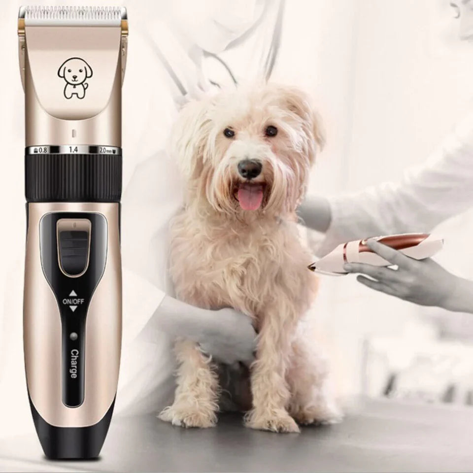 🐶 ¿Tu mascota deja pelos por toda la casa? Mantén su pelaje limpio y saludable desde casa. 🔥 APROVECHA EL  ANTES DE QUE SE AGOTE