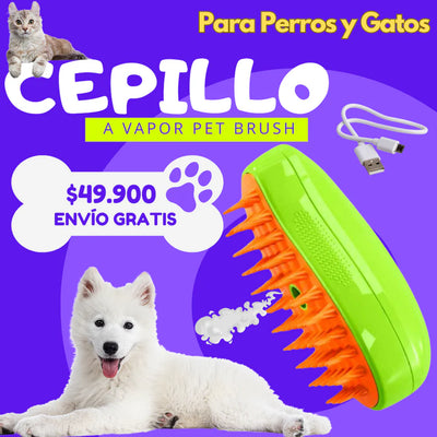 Después