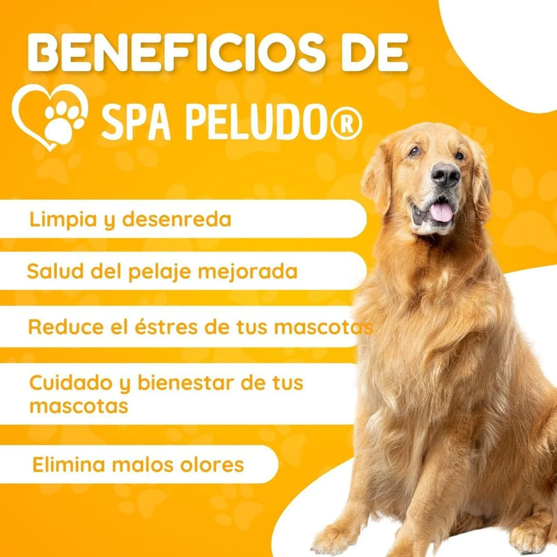 Antes