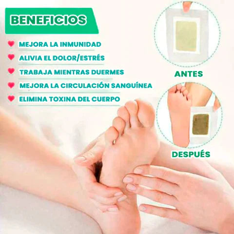 🌿 Elimina Toxinas Mientras Descansas — 50 Parches