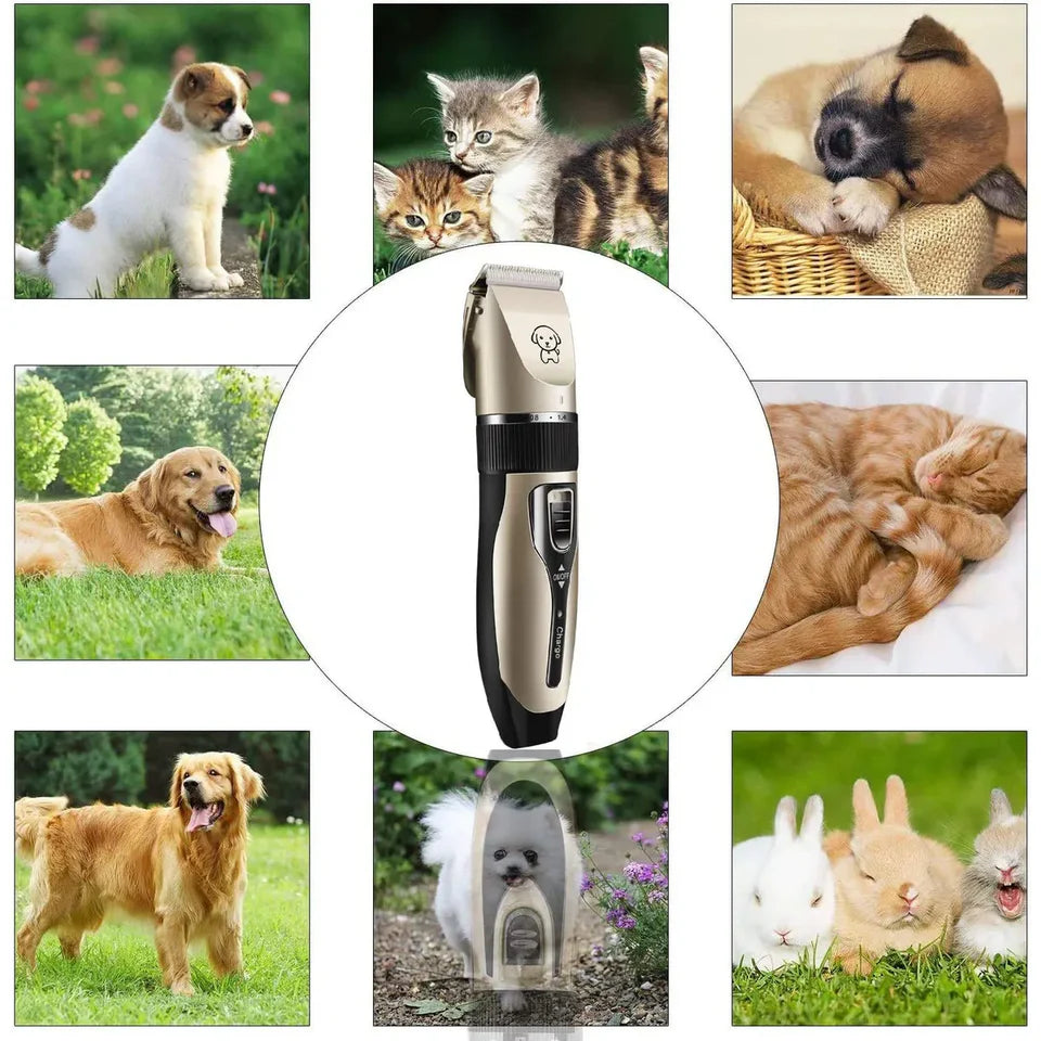 🐶 ¿Tu mascota deja pelos por toda la casa? Mantén su pelaje limpio y saludable desde casa. 🔥 APROVECHA EL  ANTES DE QUE SE AGOTE