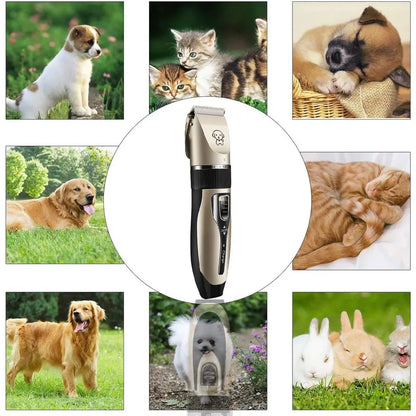 🐶 ¿Tu mascota deja pelos por toda la casa? Mantén su pelaje limpio y saludable desde casa. 🔥 APROVECHA EL  ANTES DE QUE SE AGOTE