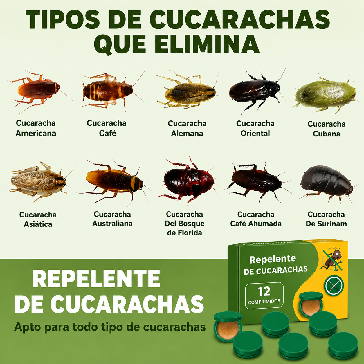 🔥 2x1 Repelente de Cucarachas  – Elimina la Plaga Antes de que Invada tu Cocina