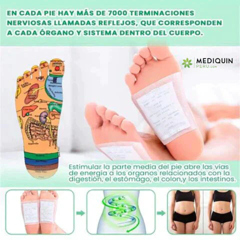 🌿 Elimina Toxinas Mientras Descansas — 50 Parches