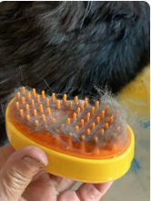 Cepillo Vapor Para Mascotas