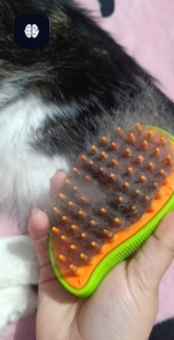 Cepillo Vapor Para Mascotas