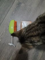 Cepillo Vapor Para Mascotas
