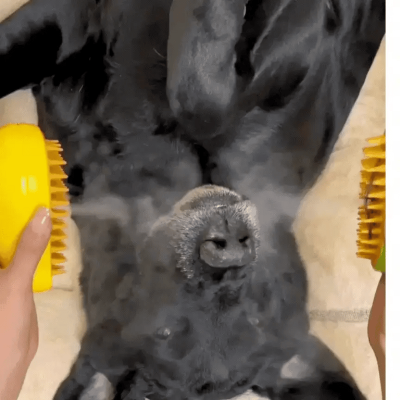Cepillo Vapor Para Mascotas